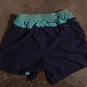 Bird Dogs "Glute Chutes"